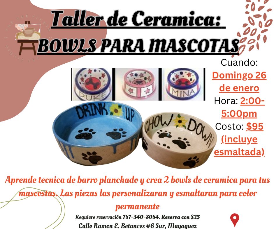 Taller de cerámica: Bowls para tus mascotas - The Art Studio