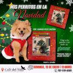 "Mis perritos en Navidad" - Café del Niño