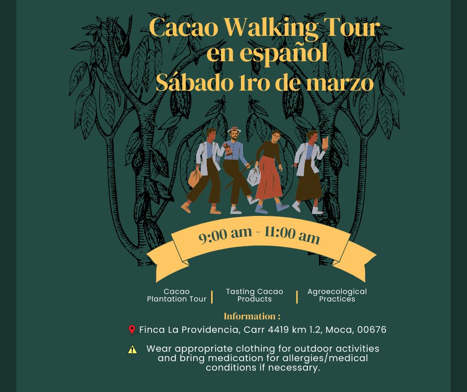 Cacao Walking Tour - Finca La Providencia