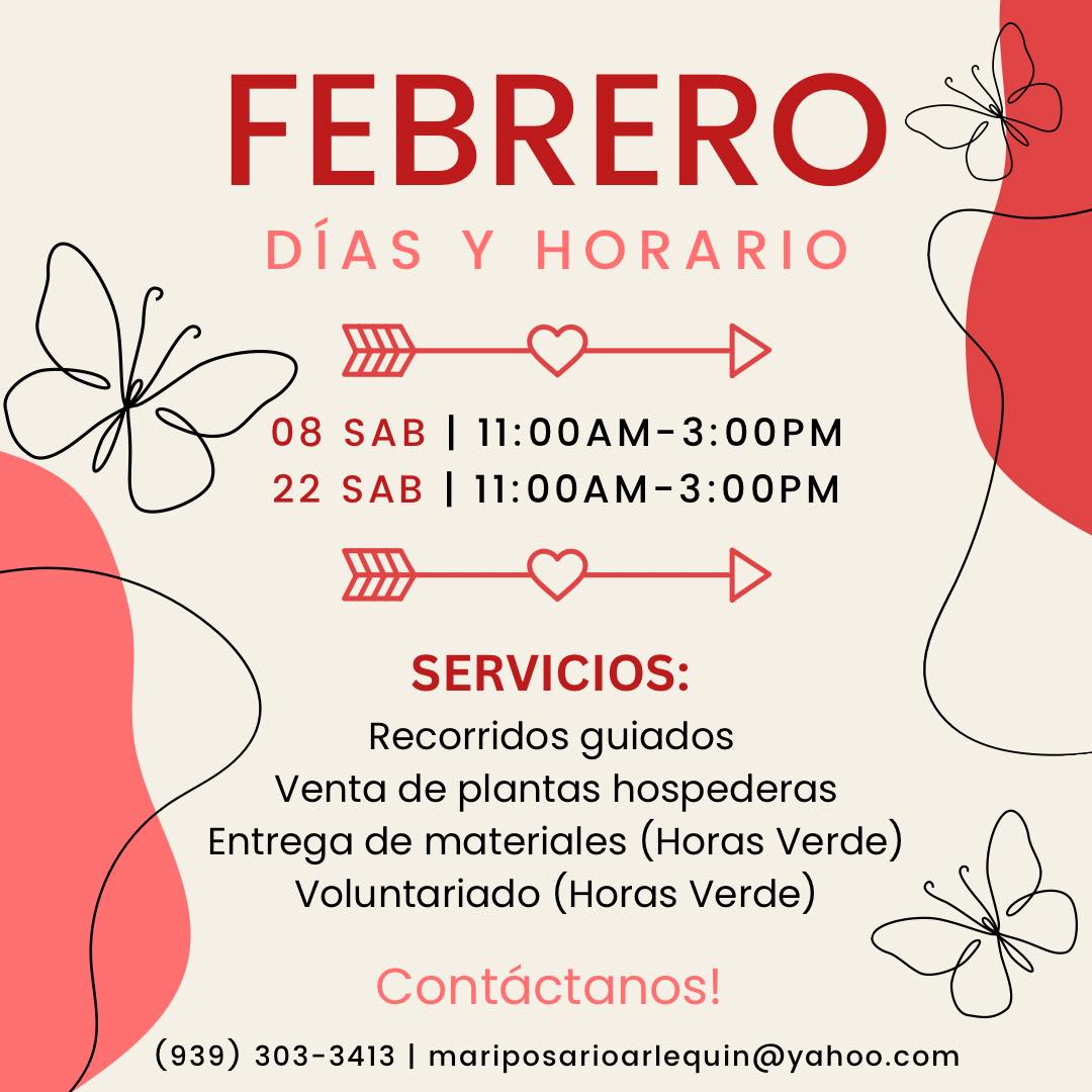 Febrero en el Mariposario Arlequín