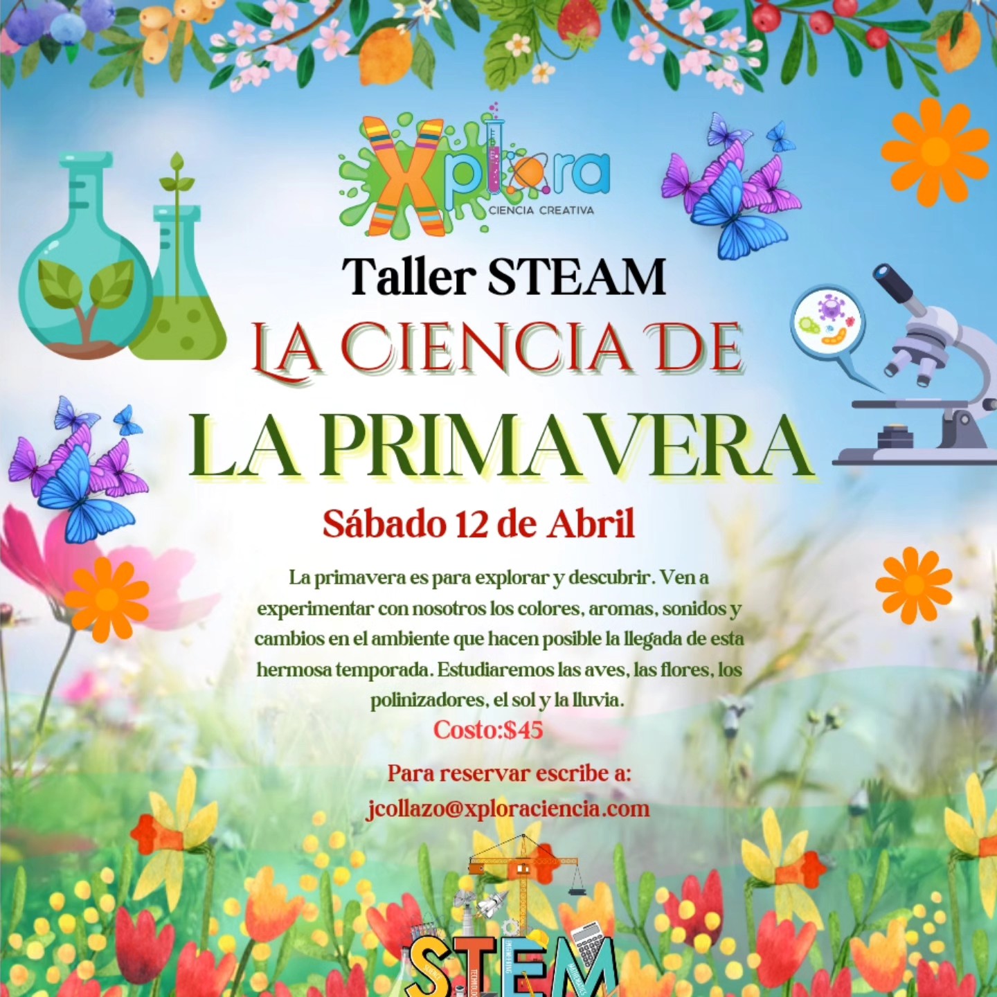 Taller STEAM: La Ciencia de la Primavera - Xplora Creativa