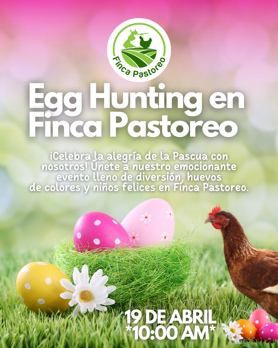 Egg Hunting - Finca Pastoreo