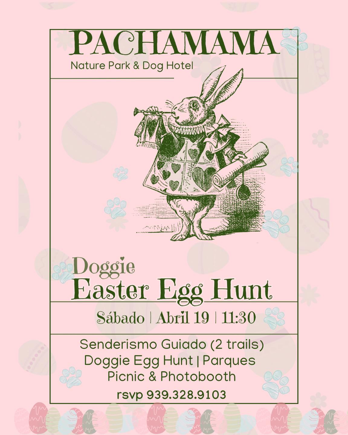 Doggie Easter Egg Hunt