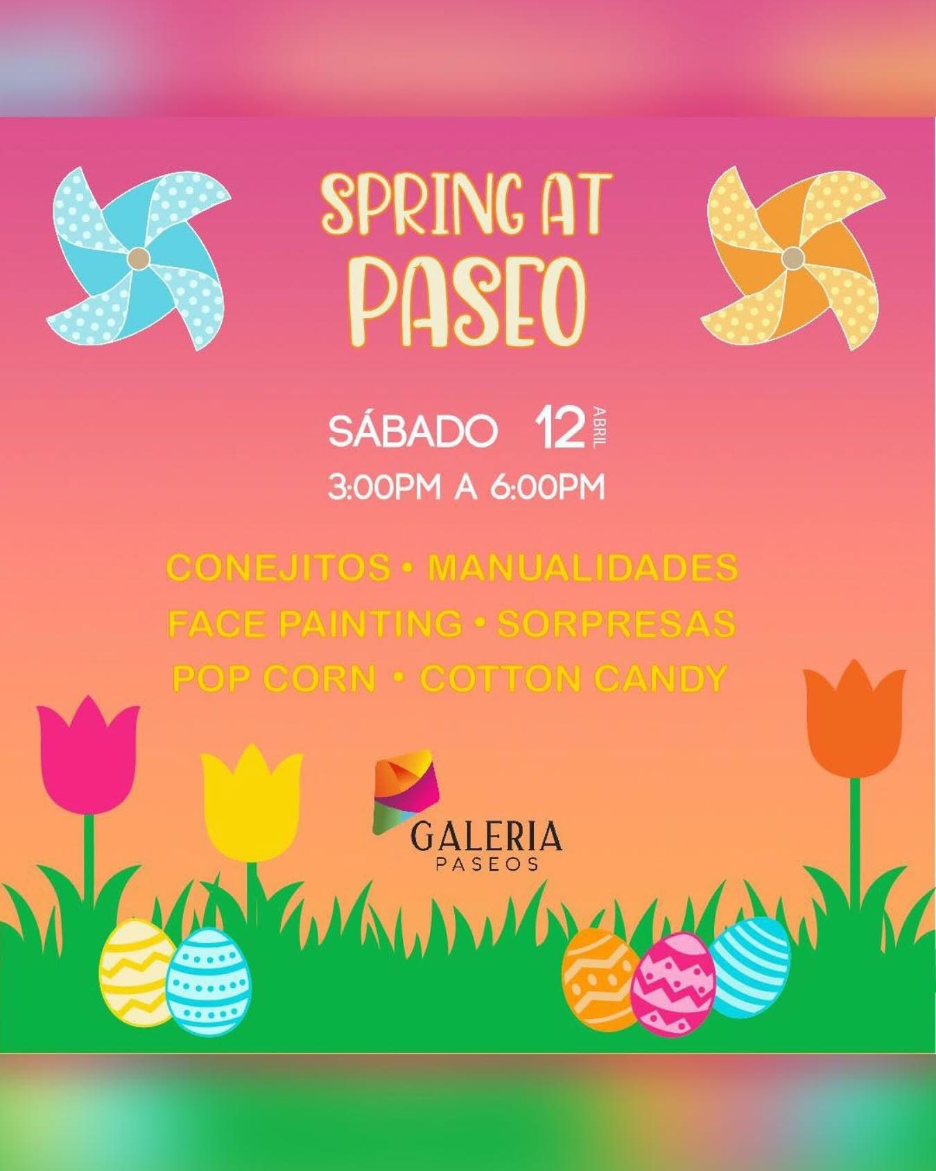 Spring - Galería Paseos
