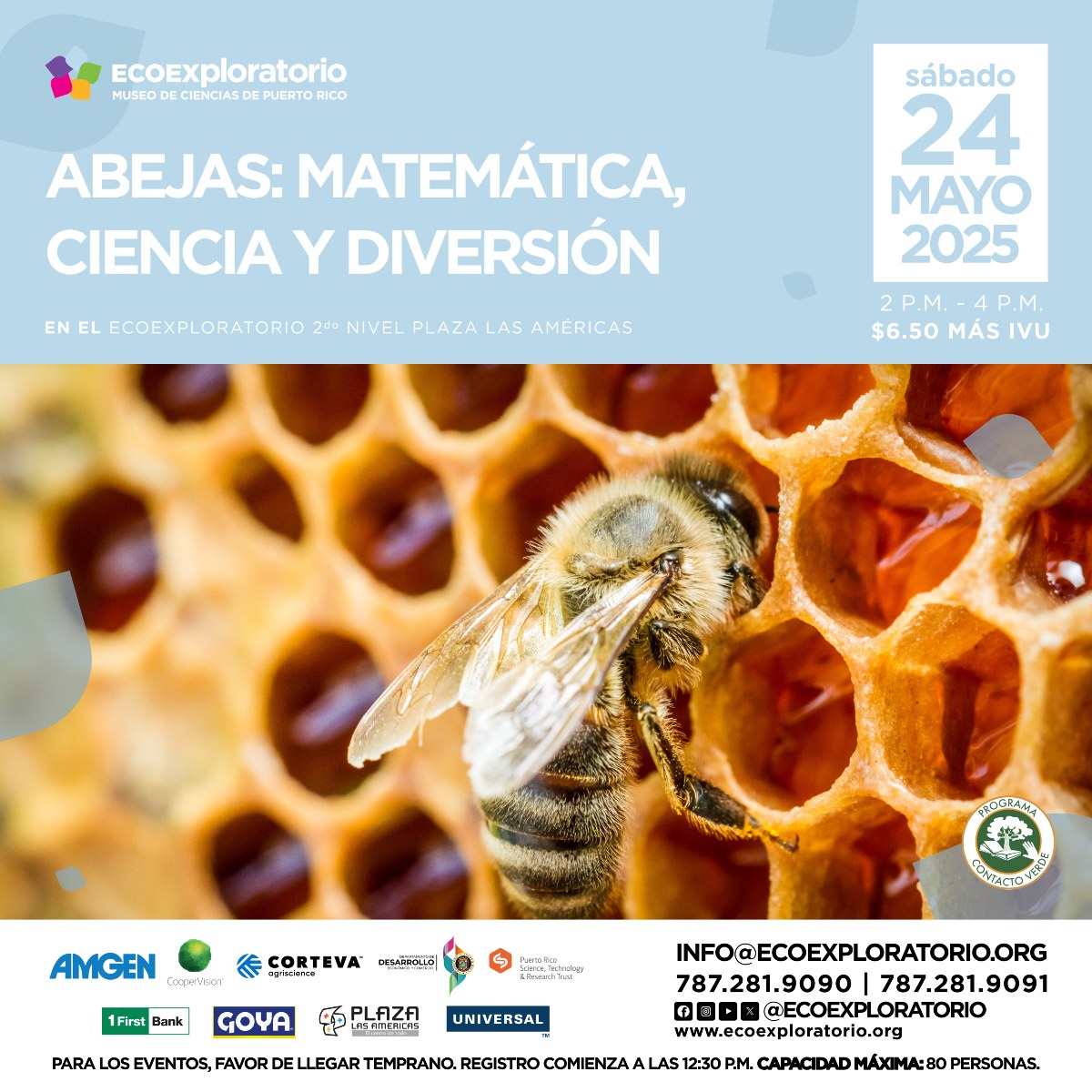 Abejas: Matemática, Ciencia y Diversión  - EcoExploratorio