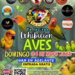 Exhibición de Aves