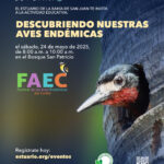 Descubriendo nuestras Aves Endémicas - Bosque Urbano de San Patricio