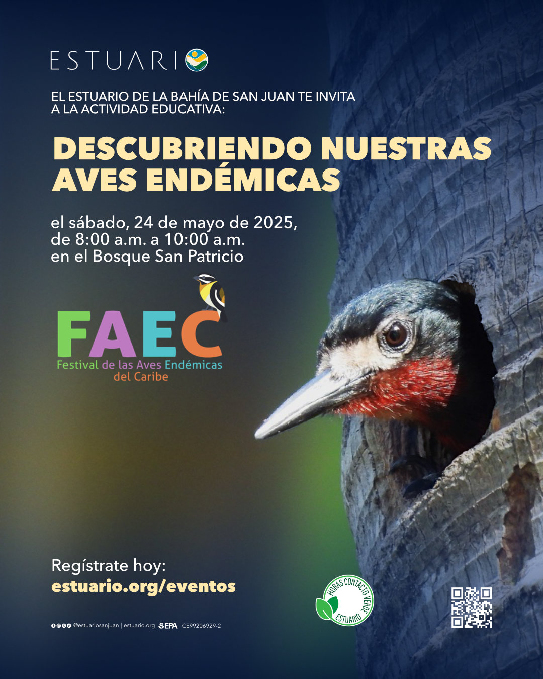 Descubriendo nuestras Aves Endémicas - Bosque Urbano de San Patricio