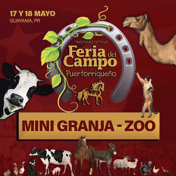 Feria del Campo Puertorriqueño con Mini Granja - Zoo