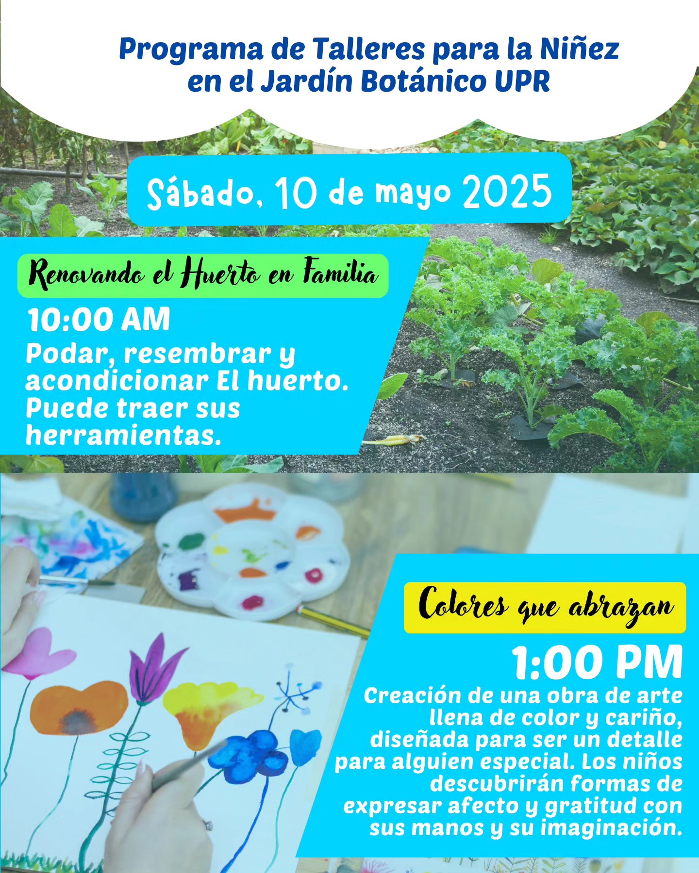 Renovando el Huerto y Colores que abrazan - Fundación Ecológica Educativa: Jardín Botánico UPR