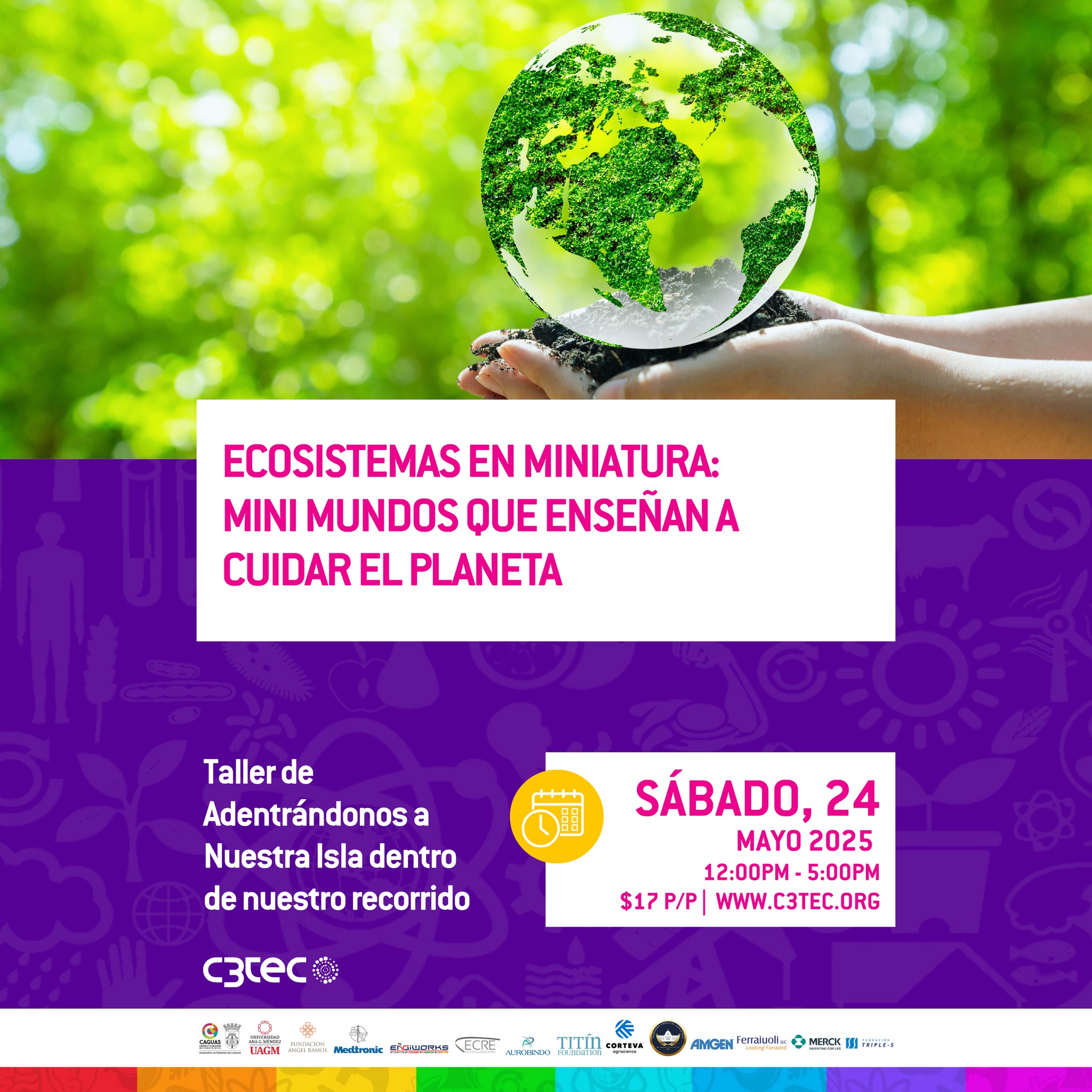 Adentrándonos a nuestra Isla: Ecosistemas en Miniatura - C3Tec