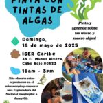 Taller: Pinta con Tinta de Algas