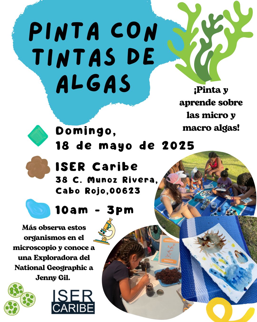 Taller: Pinta con Tinta de Algas