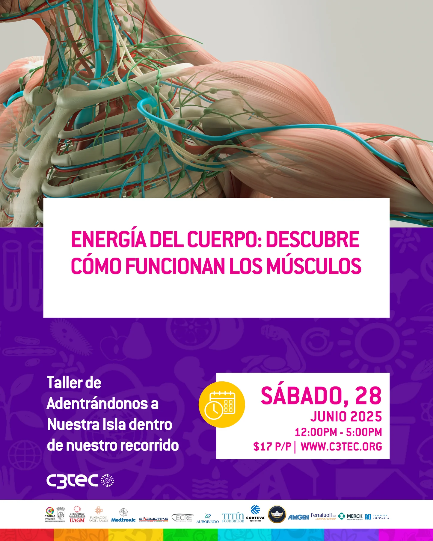 Adentrándonos a nuestra Isla:  Energía del cuerpo - C3Tec
