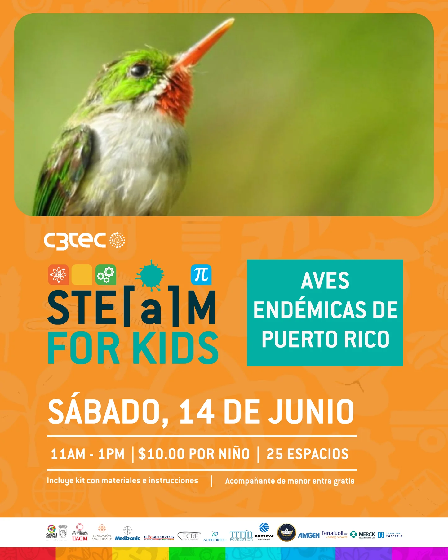 STEAM for Kids: Aves Endémicas de Puerto Rico  - C3Tec