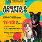 Adopta a un Amigo: Jornada de adopción de Mascotas