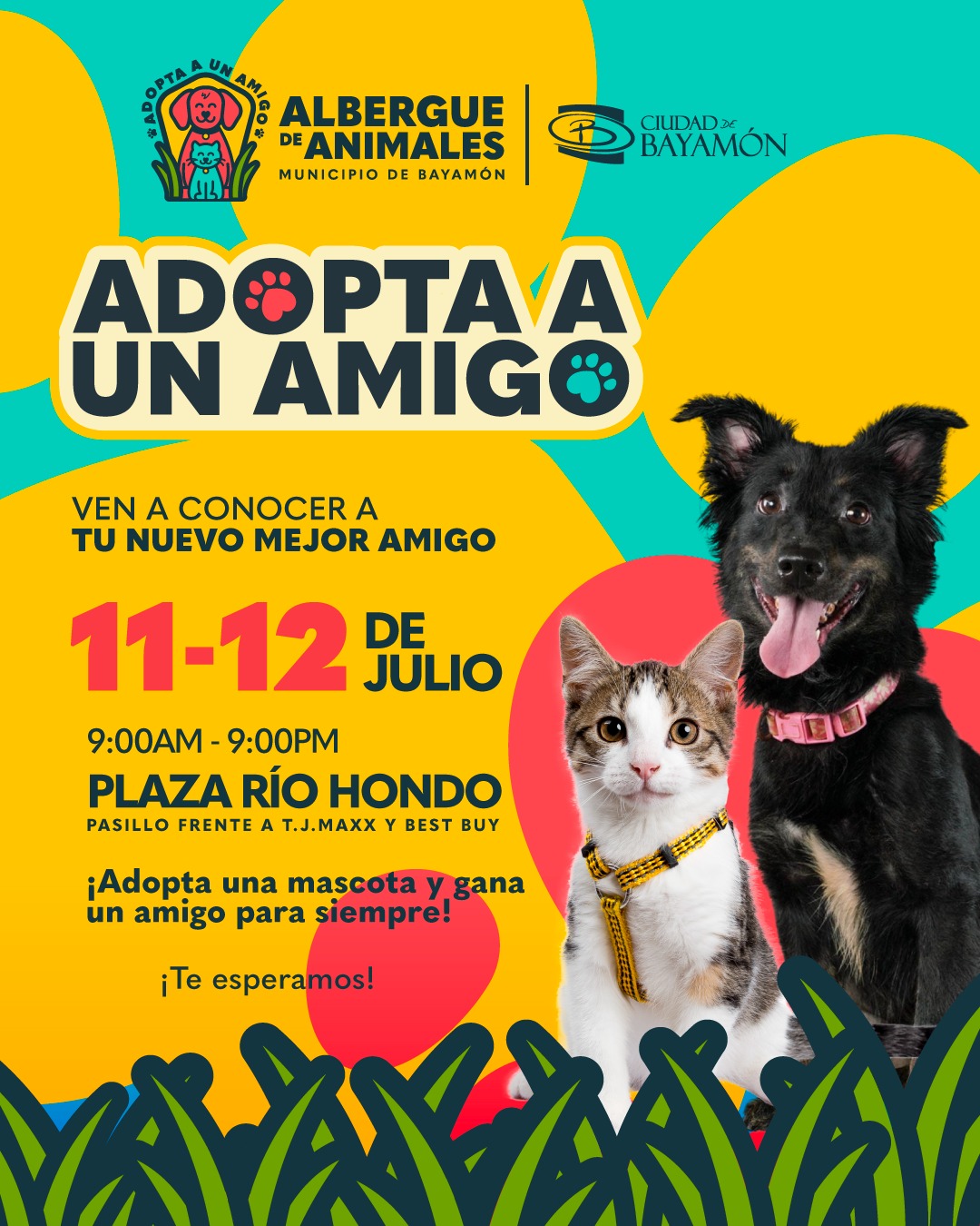 Adopta a un Amigo: Jornada de adopción de Mascotas