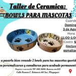 Taller de Cerámica: Pet Bowls para tu Mascota - The Art Studio PR