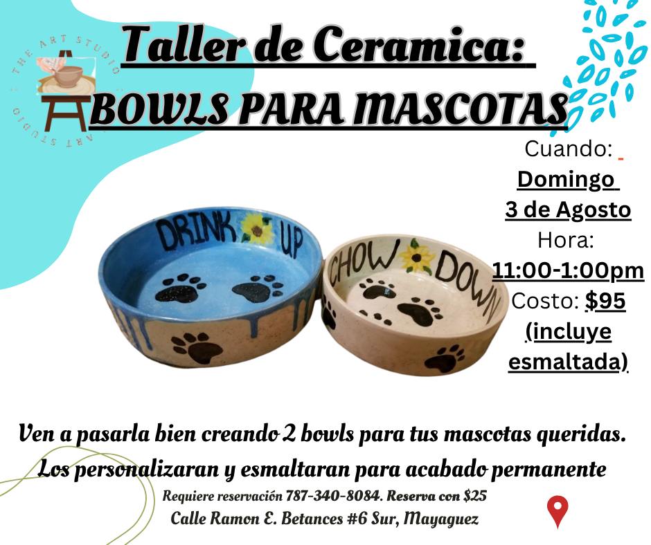 Taller de Cerámica: Pet Bowls para tu Mascota - The Art Studio PR