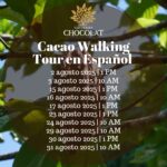Cacao Walking Tour - Hacienda Chocolat