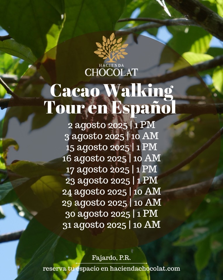 Cacao Walking Tour - Hacienda Chocolat