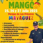 Festival del Mangó