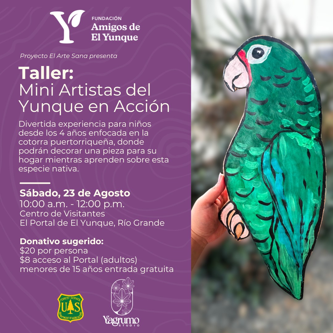 Taller: Mini Artistas del Yunque - Fundación Amigos de El Yunque
