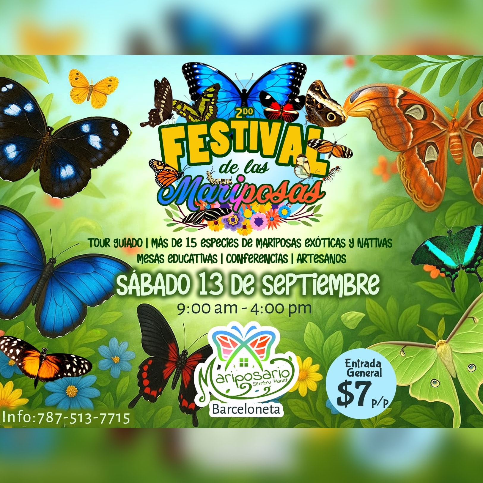 Festival de las Mariposas - Sembry Planet