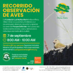 Recorrido: Observación de Aves - Parque Doña Inés