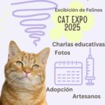Cat Expo Puerto Rico