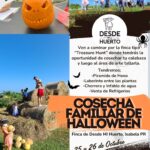 Cosecha Familiar de Halloween - Desde Mi Huerto