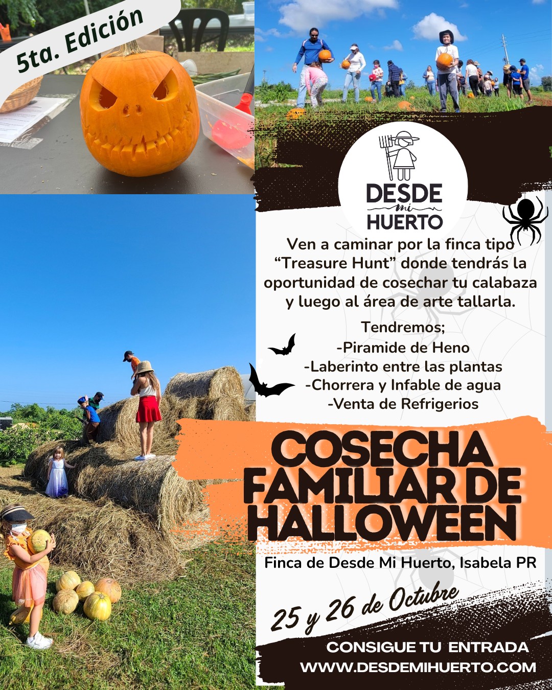 Cosecha Familiar de Halloween - Desde Mi Huerto