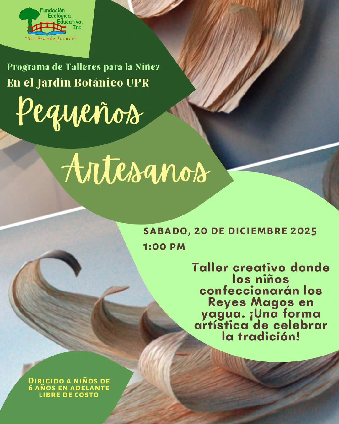 Pequeños Artesanos - Fundación Ecológica Educativa, Jardín Botánico UPR
