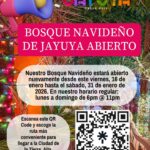 Bosque Navideño - Jayuya