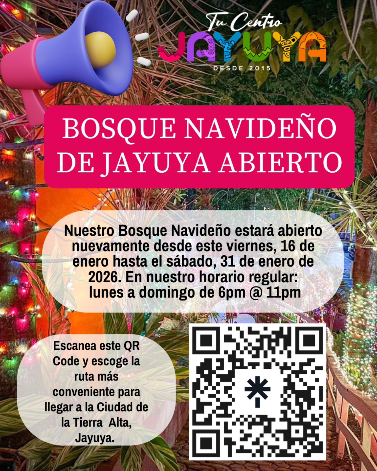 Bosque Navideño - Jayuya