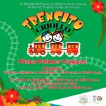 Trencito Criollo - Plaza Palmer