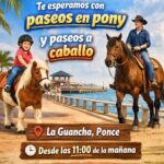 Paseos en Pony - La Guancha Food Truck Park