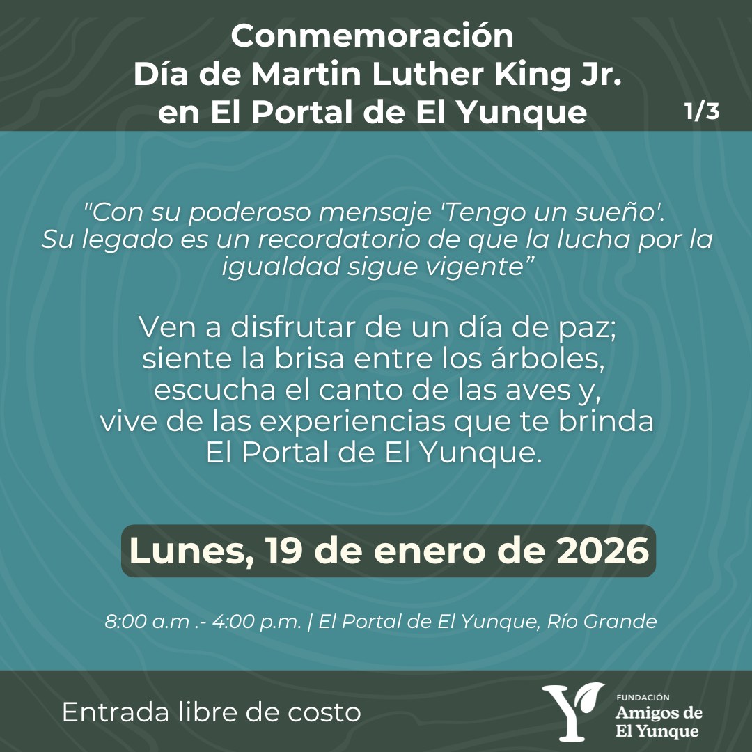 Día Libre de Acceso en El Portal del Yunque - Fundación Amigos de El Yunque