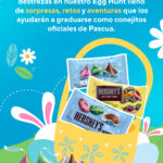 Choco Bunny Academy - Hershey's PR