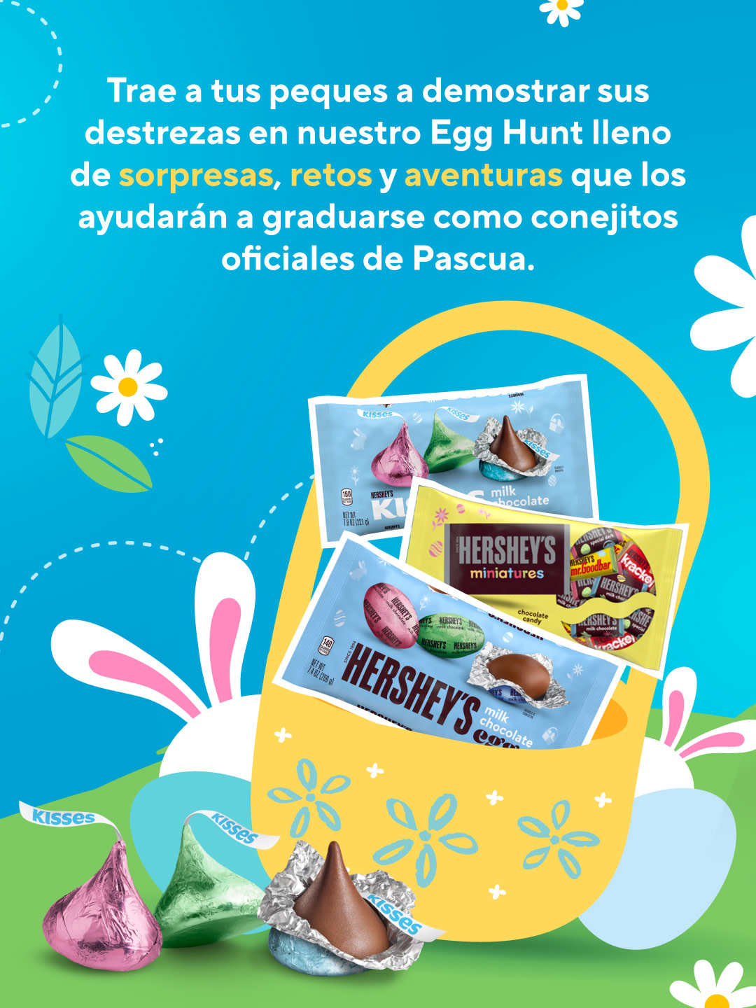 Choco Bunny Academy - Hershey's PR