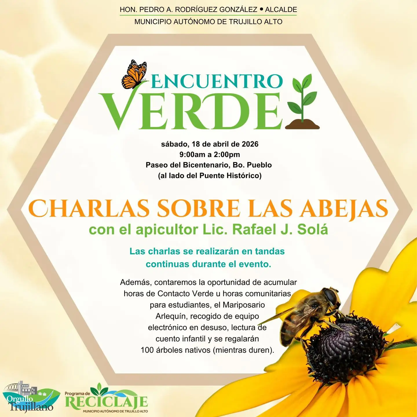 Charla sobre las abejas