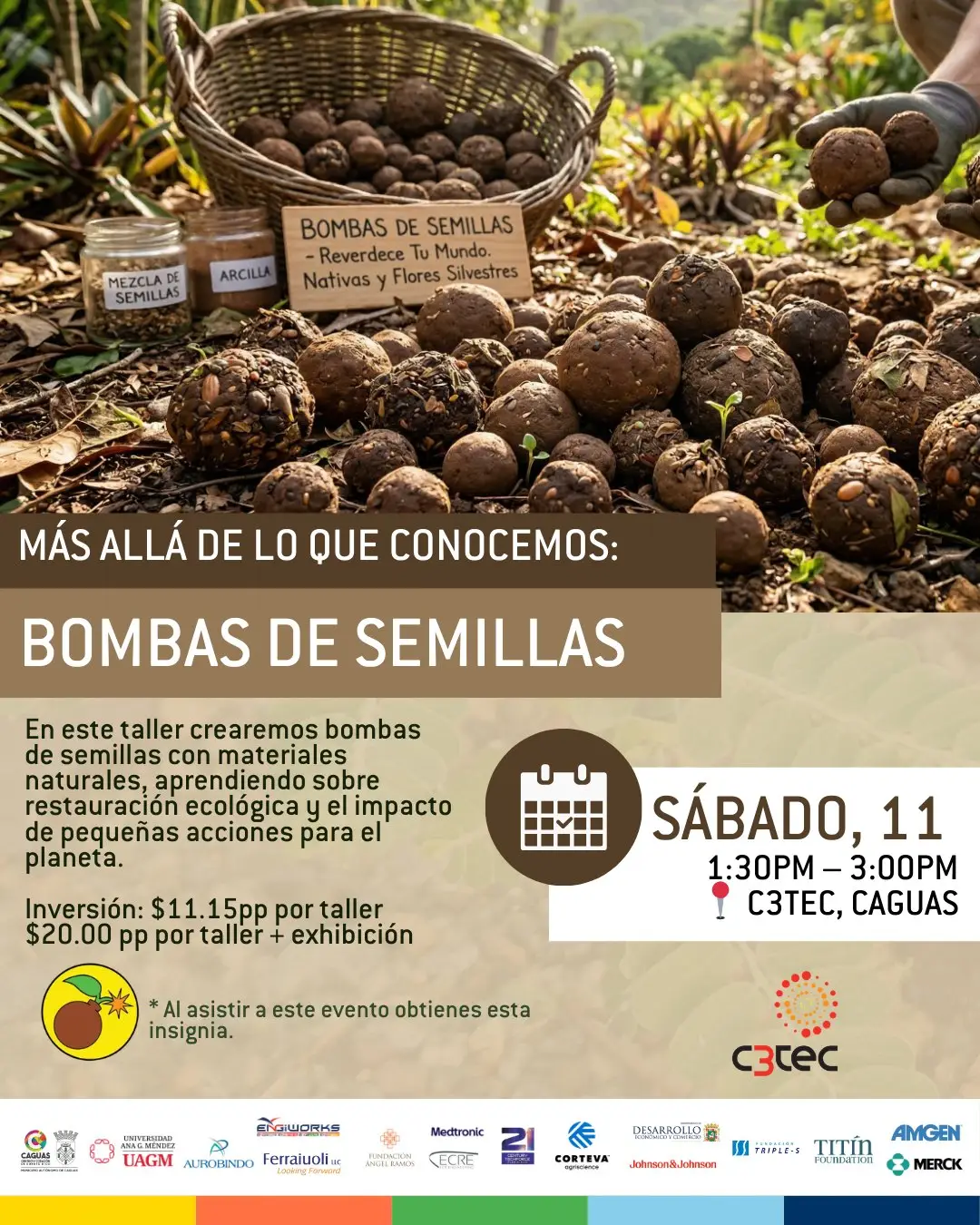 Bombas de Semillas - C3Tec