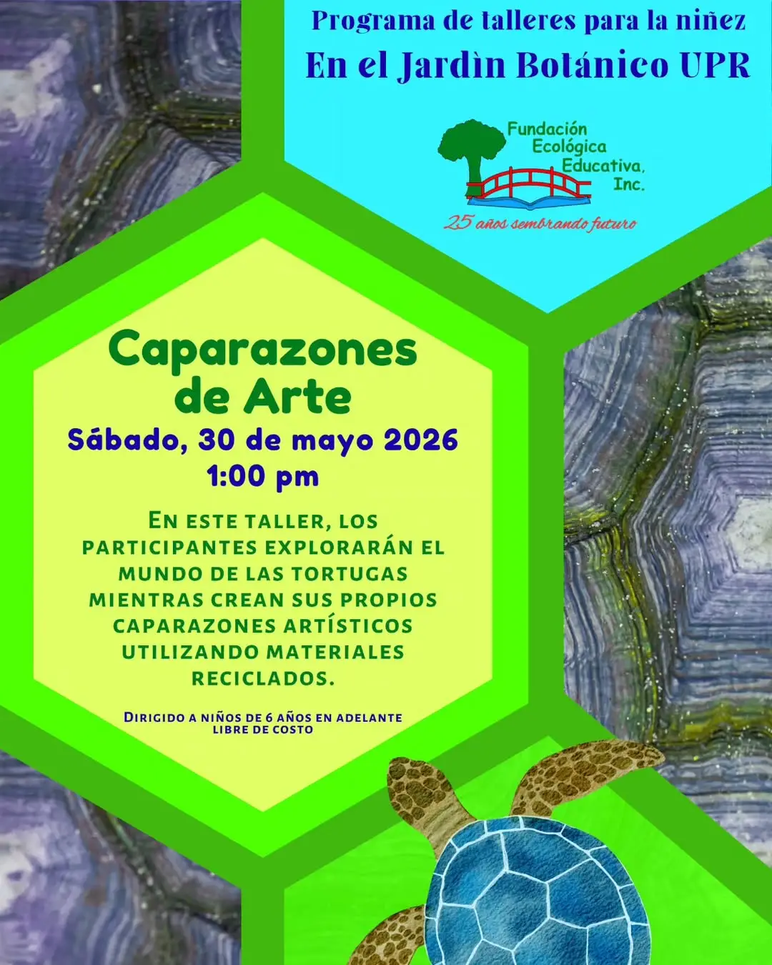 Caparazones de Arte - Fundación Ecológica Educativa: Jardín UPR