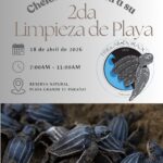 Limpieza de Playas - Chelonia