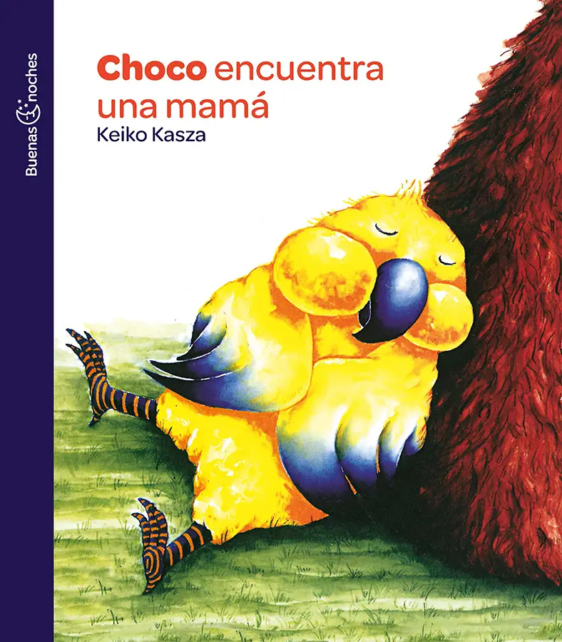 Lectura de cuentos para la niñez - MADMI