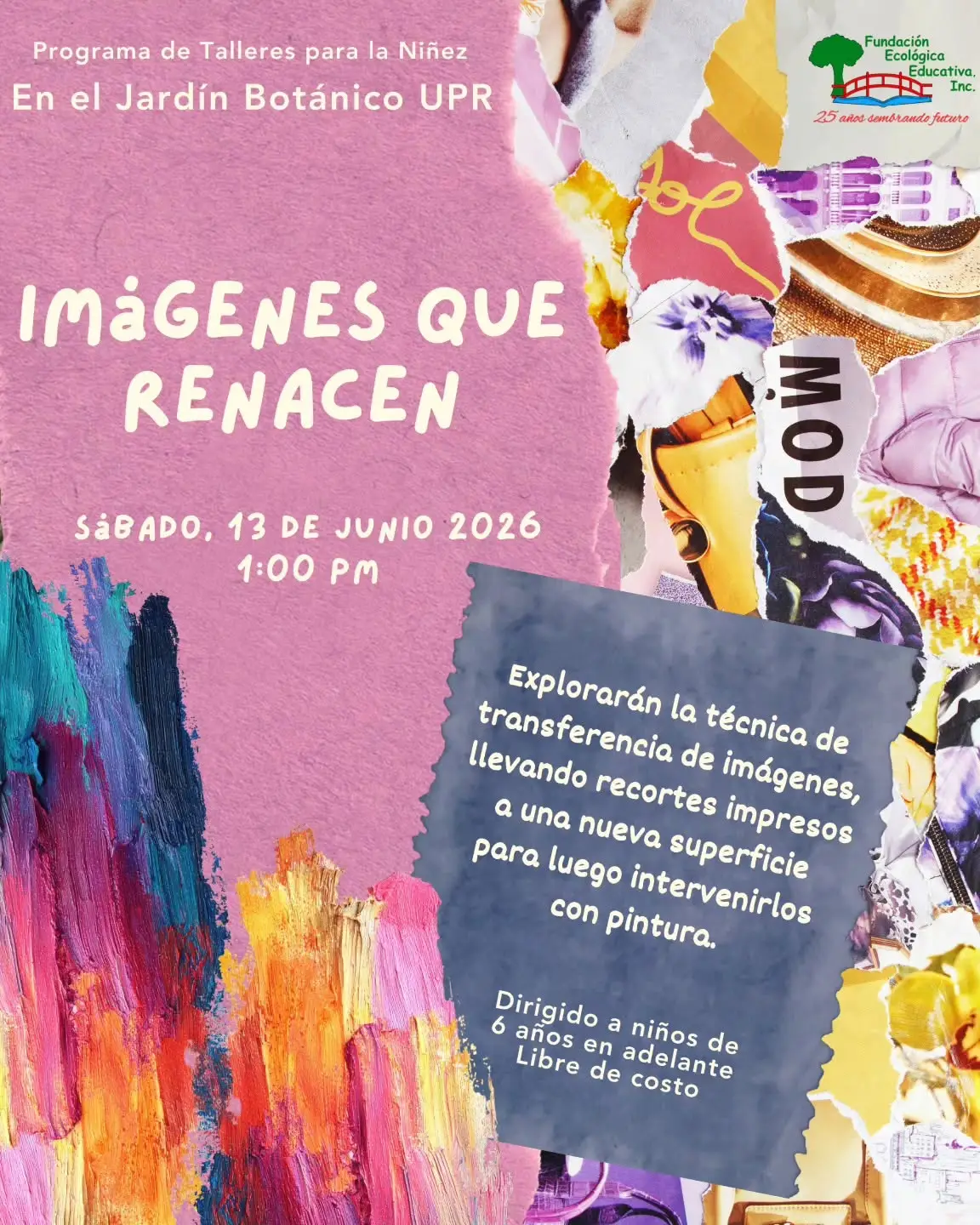 Imágenes que Renacen - Fundación Ecológica Educativa: Jardín UPR (Mayo a Junio)