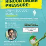 Urban Ecology Bioblitz - Isla Mar