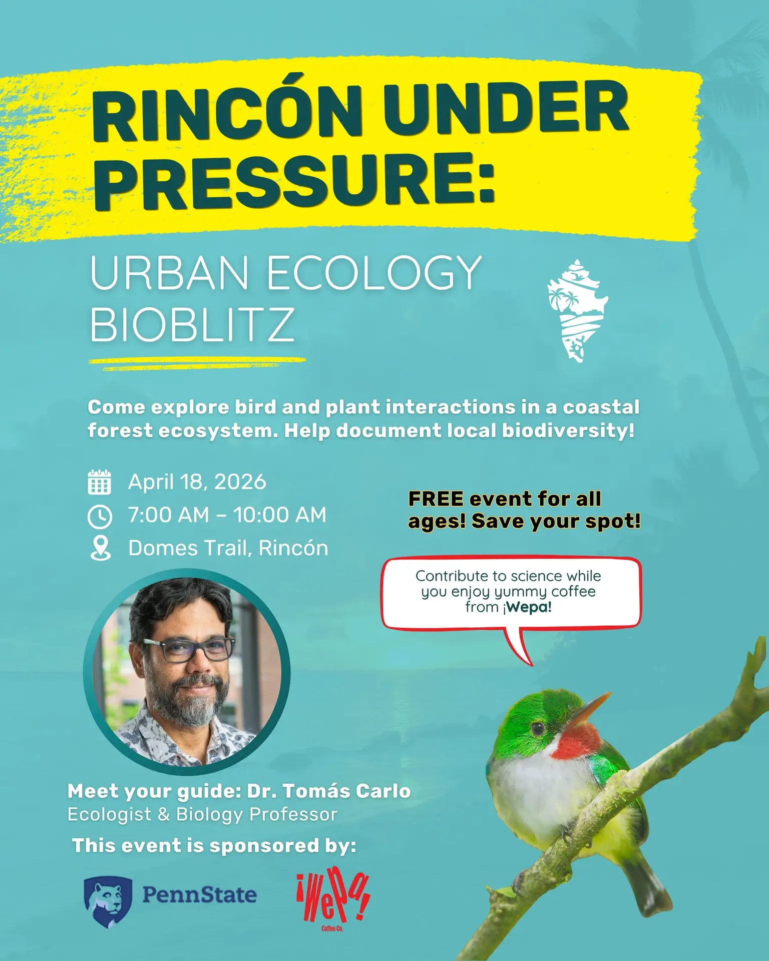 Urban Ecology Bioblitz - Isla Mar