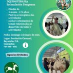 Pequeños Corazones a Caballos