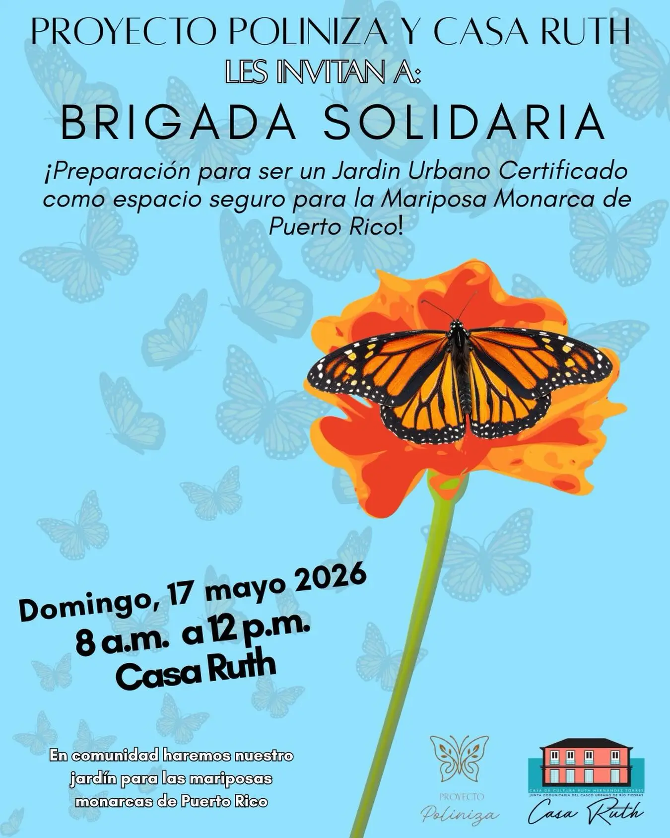 Brigada Solidaria